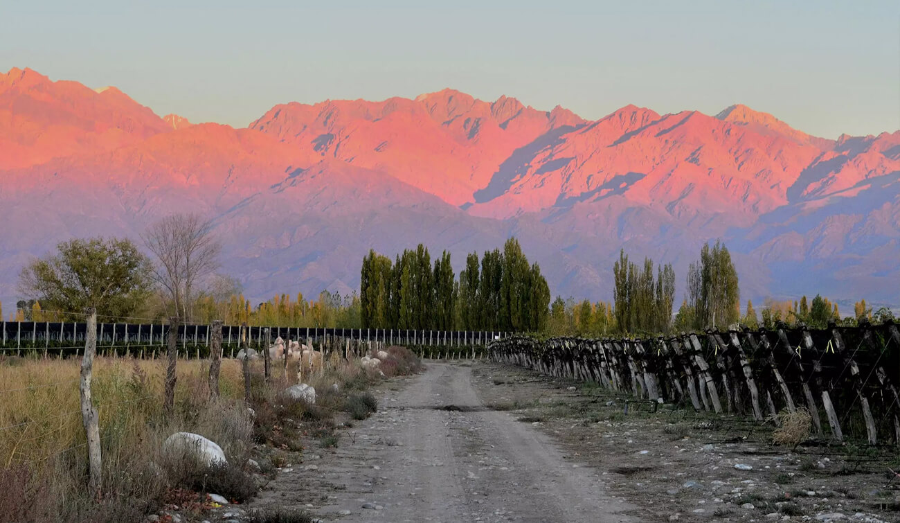 Bodegas Caro